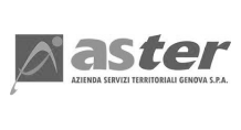 aster